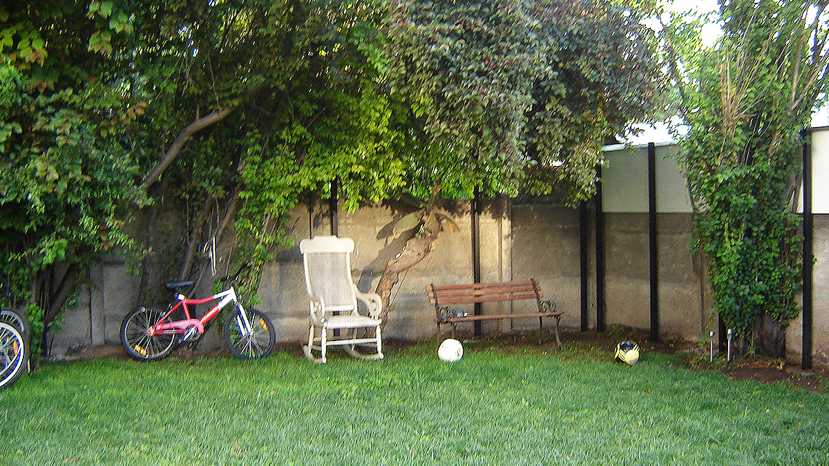 Original Image